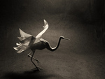 Origami Bird