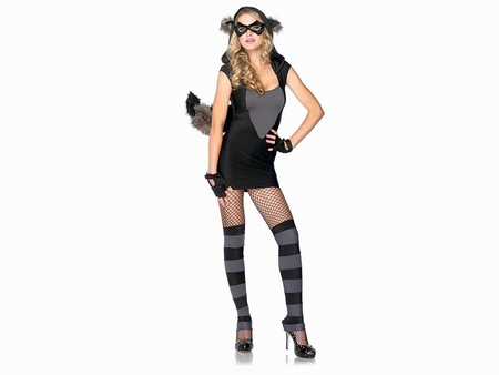 Risky Raccoon - costume, picture, risky, raccoon, beautiful