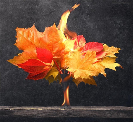 flame - flame, autumn, firey, red, colorful, leaves, orange