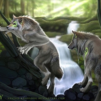 searching for a summer den