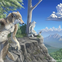 watching over the peak of life