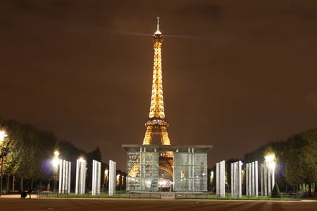 Paris at Night - eiffel, trees, peace, night, paris, monument, tower, lights