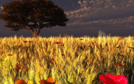 grain and poppies - field, poppies, tree, grain