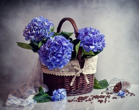 For my flower friend - Jasenka - tenderness, blue, cloth, photography, thank you, beauty, love, still life, frioendship, harmony, flowers, basken ribbon, scarf, coffee beans, hydrangea, cup