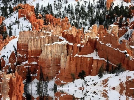 Snow Covered - rock, snow, trees, canyon