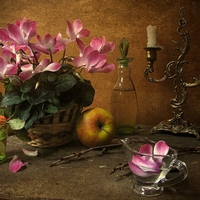 still life