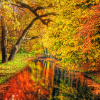 Autumn reflection-HDR