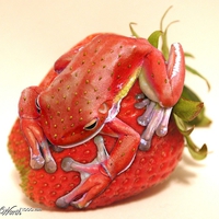 Strawberry and frog