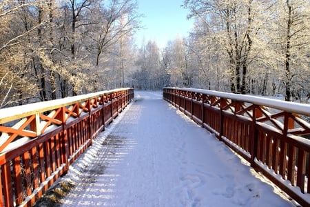 Bridge in Winter - path, winter, snow, forest, bridge, woods