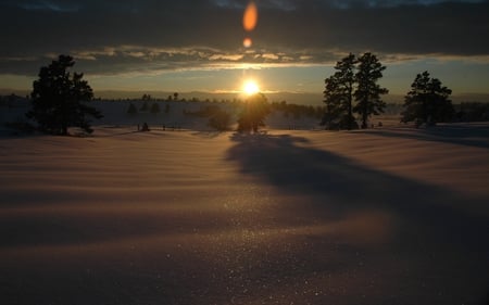 Winter Sunrise - morning, glistening, hills, trees, snow, winter, sunrise