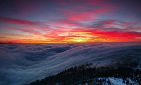 Sunrise Cloud Cover - sky, trees, forest, clouds, snow, sunrise