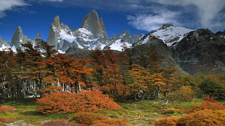 Argentina - season, autumn, mountain, landscape, peaceful, colorful, argentina, nature, patagonia, snow, splendor, mount fitzroy