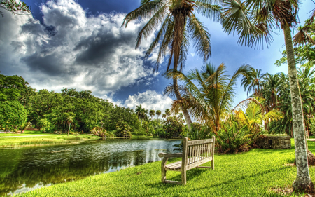 Lovely Place - sky, trees, colorful, bench, nature, clouds, beautiful, green, rivers