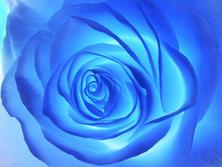 Blue Rose - glows, fantasy, stem, rose, love, petals, thorns