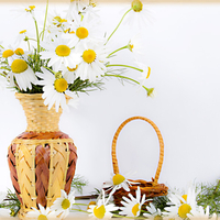 Bright still life