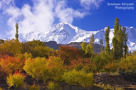 Golden-Peak-Hunza-Pakistan - picture, hunza, golden-peak, beautiful, pakistan