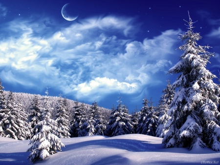 Winter - winter, moon, tree, nature, snow