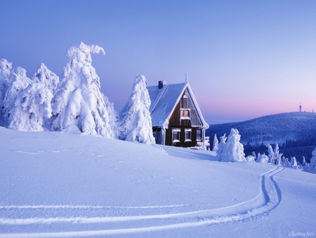 House in snow - nature, snow, winter, tree, house