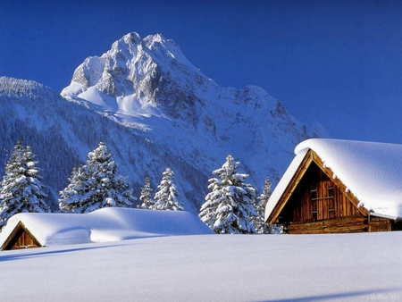 Houses in snow - nature, snow, hoouse, winter, tree