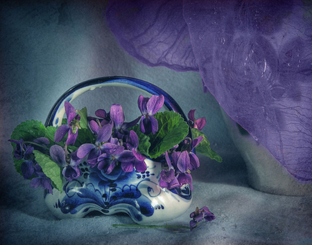 purple still life - nice, violets, purple, beautiful