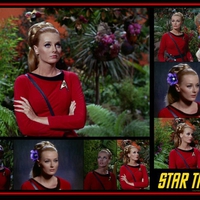 Celeste Yarnall as Yeoman Martha Landon