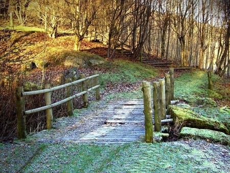 Broken Bridge - bridge, broken, grass, trees