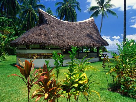 Thatched Bungalow Moorea Island - trees, island, blue sky, house, grass