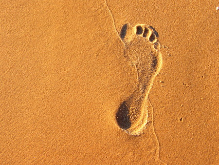 Speared Foot  - footprint, sand, summer, beach