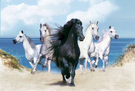 Dream Horses - horses, galloping, animals, herd