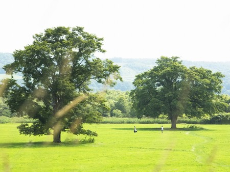 Green field  - field, green