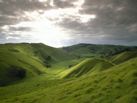 Green fields  - fields, green