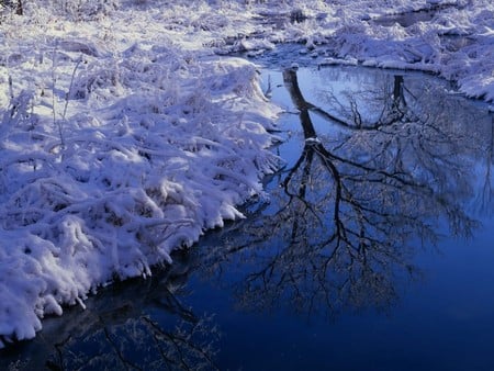 ice lake  - lake, ice