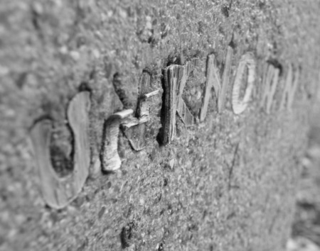 Nightmare Grave - white, black, grave, michigan