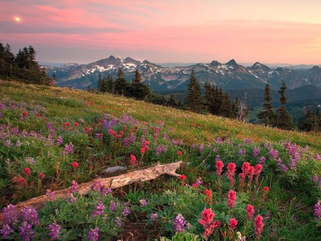 Mount and sky