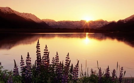 super sunset  - lake, sunset