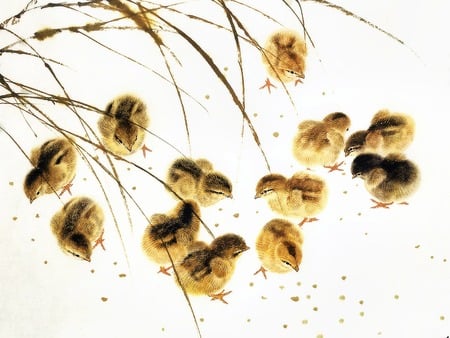 Baby Chicks - abstract, grasses, chicks, chinese, babies, other