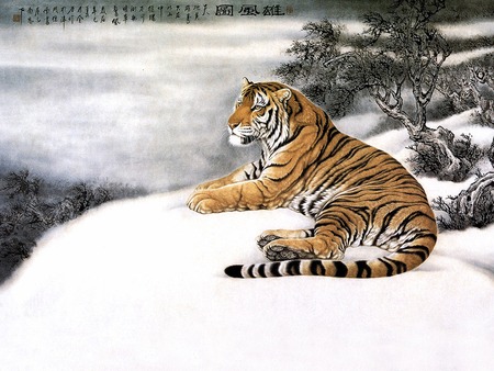 Chinese Mountain Snow Tiger - art, cats, snow, animals, chinese, tiger