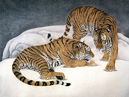 Let's Talk - art, animals, snow, cats, tigers