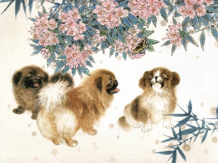 Follow The Butterfly - butterfly, art, pekenese, animals, pink, dogs azaleas, dogs, flowers