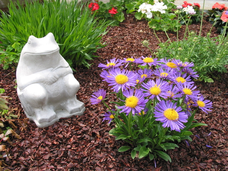 Flower bed - statue, frog, flower, mulch