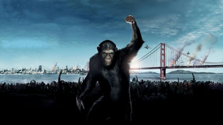 Rise of the Planet of the Apes - apes, of, planet, the, rise