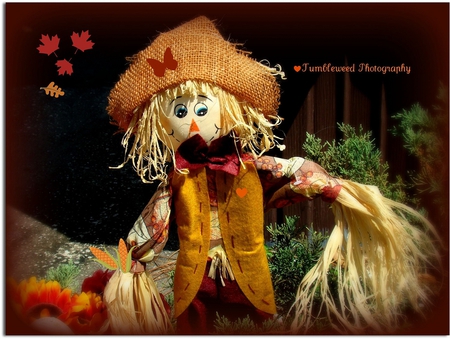 Autumn is coming - fall, puppet, decoration, still life