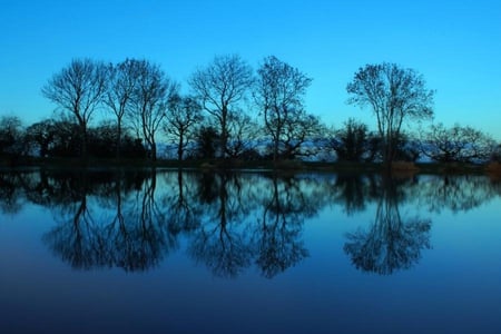 Cool Blues - trees, water, blue, cold, sunrise, lake, sky