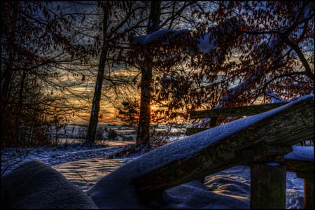 Sunset-HDR - pretty, calm, horizon, scenery, amazing, landscape, snow, great, meadow, view, hdr, field, nice, sky, sun, clouds, branches, trees, winter, beautiful, photography, beauty, colors, lovely, cool, nature, season