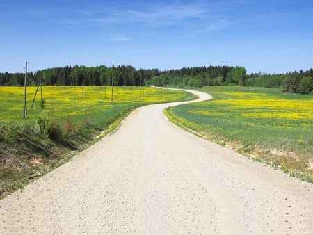 Curved Country Road - sky, curved, land, road