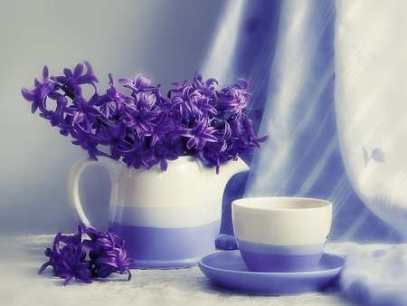 Harmony - nice, pretty, blue, beautiful, flowers, hyacinth, cup, harmony