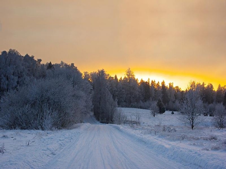 Winter Sunset - winter, set, snow, sun