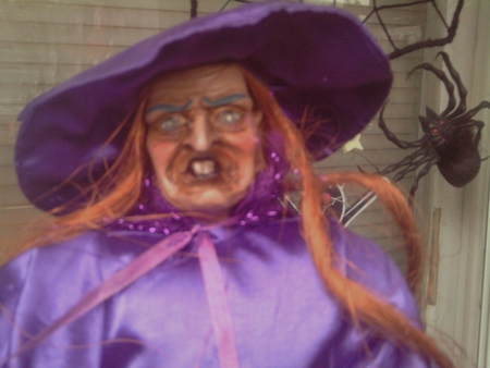 Halloween Witch - witch, purple, ugly, scary, spider