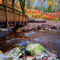 Autumn-HDR