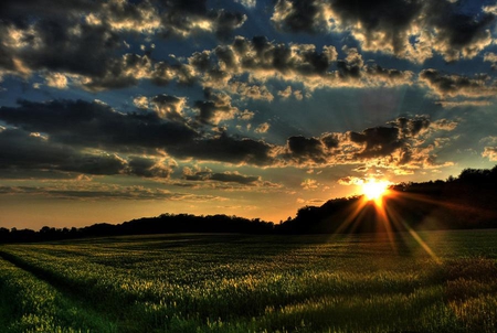 Sunset - sunset, nature, scenery, beautiful, photography, field